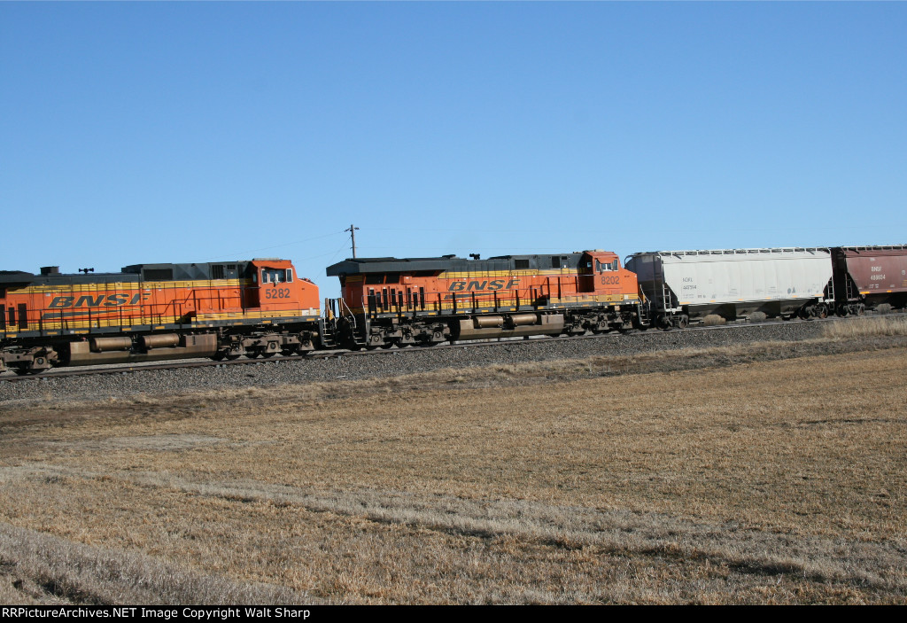 BNSF 8202